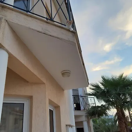 Mit Pool Gazde/Camere de închiriat *